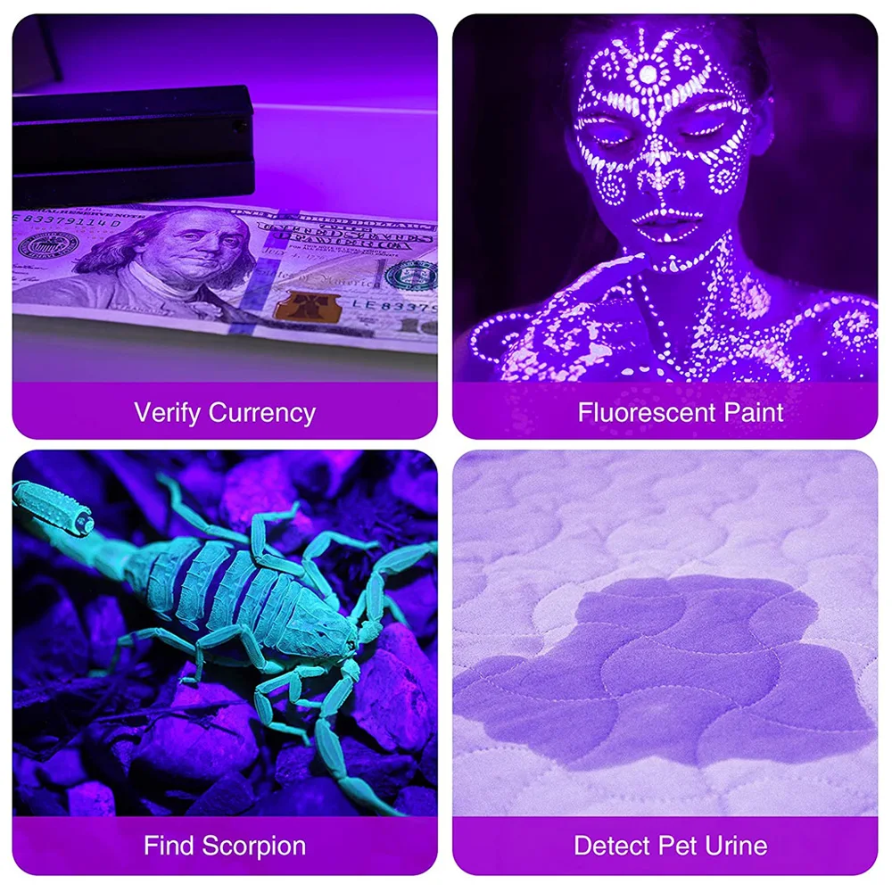 UV Žibintuvėlis su 12 LED (395nm Mini Light) - Image 2
