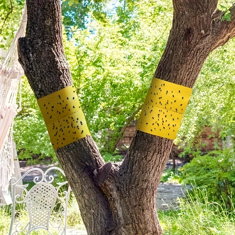 Lipni juosta-gaudyklė nuo ropojančių kenkėjų (5 m) - Image 4